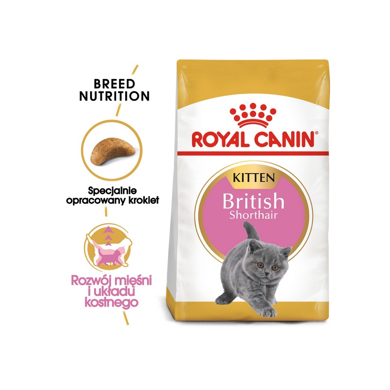 Royal Canin British Shorthair Kitten karma sucha dla kociąt, do 12 miesiąca, rasy brytyjski krótkowłosy 400g