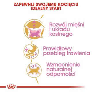 Royal Canin British Shorthair Kitten karma sucha dla kociąt, do 12 miesiąca, rasy brytyjski krótkowłosy 400g