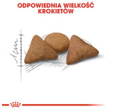 Royal Canin Indoor Apetite Control karma sucha dla kotów dorosłych przebywających w domu, domagających się jedzenia 400g