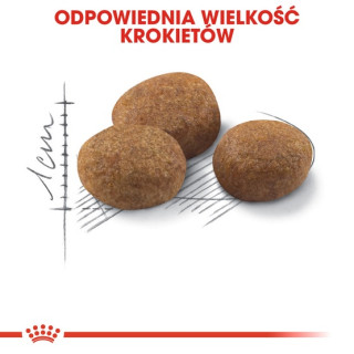 Royal Canin Sterilised 7+ karma sucha dla kotów dorosłych, od 7 do 12 roku życia, sterylizowanych 10kg