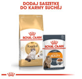 Royal Canin Ragdoll Adult karma sucha dla kotów dorosłych rasy ragdoll 2kg