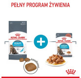 Royal Canin Urinary Care karma sucha dla kotów dorosłych, ochrona dolnych dróg moczowych 2kg