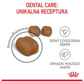 Royal Canin Dental Care karma sucha dla kotów dorosłych, redukująca odkładanie kamienia nazębnego 3,5kg