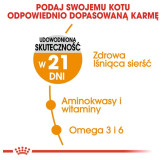 Royal Canin Hair&Skin Care karma sucha dla kotów dorosłych, lśniąca sierść i zdrowa skóra 2kg