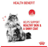 Royal Canin Hair&Skin Care karma sucha dla kotów dorosłych, lśniąca sierść i zdrowa skóra 2kg