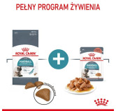 Royal Canin Hairball Care karma sucha dla kotów dorosłych, eliminacja kul włosowych 2kg