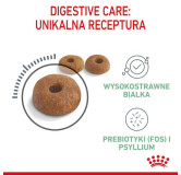 Royal Canin Digestive Care karma sucha dla kotów dorosłych, wspomagająca przebieg trawienia 10kg