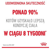 Royal Canin Light Weight Care karma sucha dla kotów dorosłych, utrzymanie prawidłowej masy ciała 400g