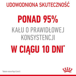 Royal Canin Digestive Care karma sucha dla kotów dorosłych, wspomagająca przebieg trawienia 400g