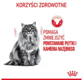 Royal Canin Dental Care karma sucha dla kotów dorosłych, redukująca odkładanie kamienia nazębnego 1,5kg