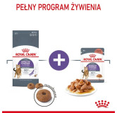 Royal Canin Appetite Control Care karma sucha dla kotów dorosłych, domagających się jedzenia 3,5kg