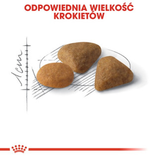 Royal Canin Savour Exigent karma sucha dla kotów dorosłych, wybrednych, kierujących się teksturą krokieta 400g