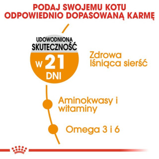 Royal Canin Hair&Skin Care karma sucha dla kotów dorosłych, lśniąca sierść i zdrowa skóra 400g