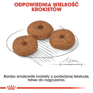 Royal Canin Mini Ageing 12+ karma sucha dla psów dojrzałych po 12 roku życia, ras małych 3,5kg