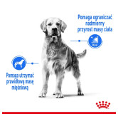 Royal Canin Medium Light Weight Care karma sucha dla psów dorosłych, ras średnich tendencją do nadwagi 3kg