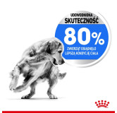 Royal Canin Medium Light Weight Care karma sucha dla psów dorosłych, ras średnich tendencją do nadwagi 3kg