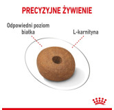 Royal Canin Medium Light Weight Care karma sucha dla psów dorosłych, ras średnich tendencją do nadwagi 3kg