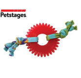 Petstages Koło do żucia dla kociąt PS715