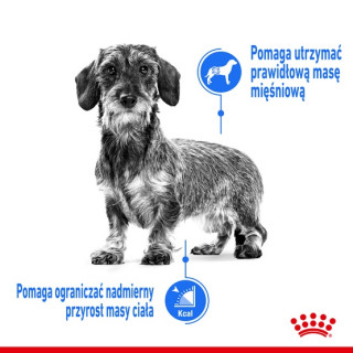 Royal Canin Mini Light Weight Care karma sucha dla psów dorosłych, ras małych z tendencją do nadwagi 3kg