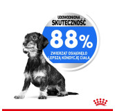 Royal Canin Mini Light Weight Care karma sucha dla psów dorosłych, ras małych z tendencją do nadwagi 3kg