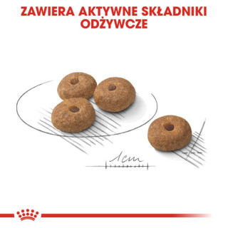 Royal Canin Mini Sterilised karma sucha dla psów dorosłych, ras małych, sterylizowanych 1kg