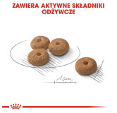 Royal Canin Mini Sterilised karma sucha dla psów dorosłych, ras małych, sterylizowanych 1kg