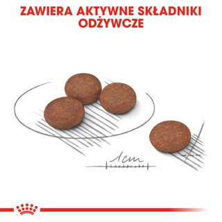 Royal Canin Mini Digestive Care karma sucha dla psów dorosłych, ras małych o wrażliwym przewodzie pokarmowym 3kg