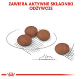 Royal Canin Mini Digestive Care karma sucha dla psów dorosłych, ras małych o wrażliwym przewodzie pokarmowym 3kg