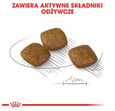 Royal Canin Mini Relax Care karma sucha dla psów dorosłych, ras małych, narażonych na działanie stresu 1kg