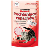 Benek Pochłaniacz zapachów - owocowy 200g