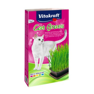 Vitakraft Cat-Grass Trawa dla kota 120g [26547]