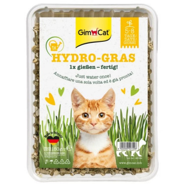 Gimpet Hydro-Gras - Trawa z hydrogranulkami dla kota - pojemnik 150g