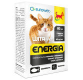 Wita-Vet Kot Energia Junior + Adult 60tabl