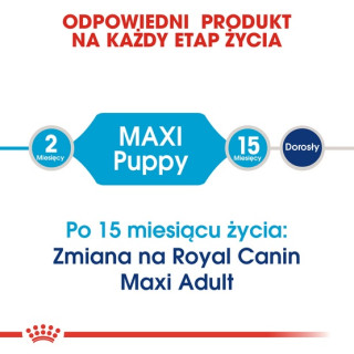 Royal Canin Maxi Puppy karma sucha dla szczeniąt, od 2 do 15 miesiąca życia, ras dużych 4kg