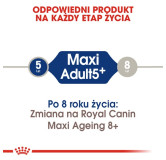 Royal Canin Maxi Adult 5+ karma sucha dla psów starszych, od 5 do 8 roku życia, ras dużych 15kg