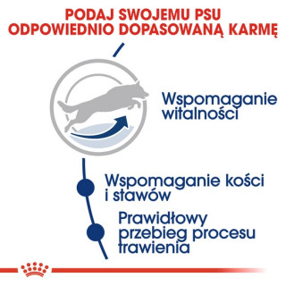 Royal Canin Maxi Adult 5+ karma sucha dla psów starszych, od 5 do 8 roku życia, ras dużych 15kg