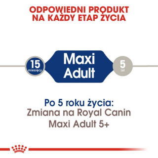 Royal Canin Maxi Adult karma sucha dla psów dorosłych, do 5 roku życia, ras dużych 15kg