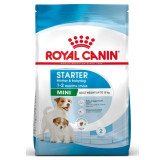 Royal Canin Mini Starter Mother&Babydog karma sucha dla szczeniąt do 2 miesiąca i suk karmiących ras małych 8kg