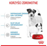 Royal Canin Mini Starter Mother&Babydog karma sucha dla szczeniąt do 2 miesiąca i suk karmiących ras małych 8kg