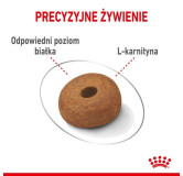 Royal Canin Maxi Light Weight Care karma sucha dla psów dorosłych, ras dużych z tendencją do nadwagi 3kg