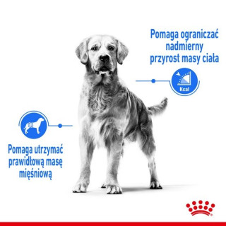 Royal Canin Medium Light Weight Care karma sucha dla psów dorosłych, ras średnich tendencją do nadwagi 12kg