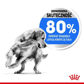 Royal Canin Medium Light Weight Care karma sucha dla psów dorosłych, ras średnich tendencją do nadwagi 12kg