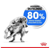 Royal Canin Medium Light Weight Care karma sucha dla psów dorosłych, ras średnich tendencją do nadwagi 12kg