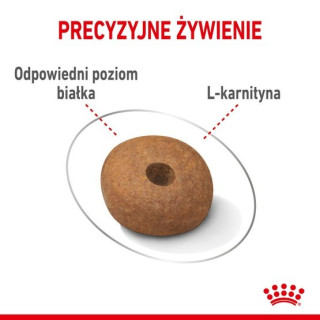 Royal Canin Medium Light Weight Care karma sucha dla psów dorosłych, ras średnich tendencją do nadwagi 12kg