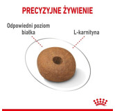 Royal Canin Medium Light Weight Care karma sucha dla psów dorosłych, ras średnich tendencją do nadwagi 12kg