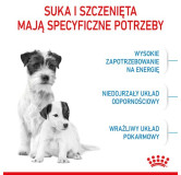 Royal Canin Mini Starter Mother&Babydog karma sucha dla szczeniąt do 2 miesiąca i suk karmiących ras małych 4kg