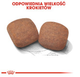 Royal Canin Giant Adult karma sucha dla psów dorosłych, od 18/24 miesiąca życia, ras olbrzymich PROMOCJA 18kg (15+3kg)