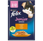 Felix Fantastic Junior Kurczak w galaretce saszetka 85g