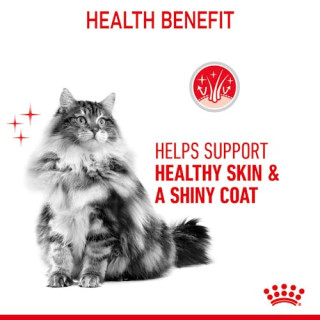 Royal Canin Hair & Skin Care w sosie  karma mokra dla kotów dorosłych, zdrowa skóra, piękna sierść saszetka 85g