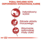 Royal Canin Instinctive w sosie karma mokra dla kotów dorosłych, wybrednych saszetka 85g